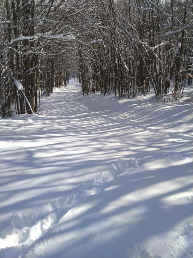 Monolocale Sulle Piste Alle Polle Riolunato Exterior photo