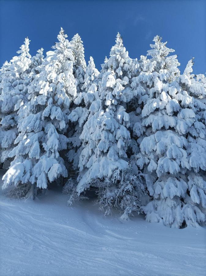 Monolocale Sulle Piste Alle Polle Riolunato Exterior photo